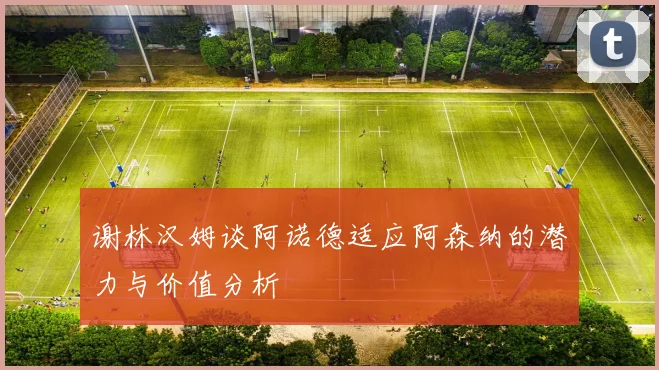 谢林汉姆谈阿诺德适应阿森纳的潜力与价值分析
