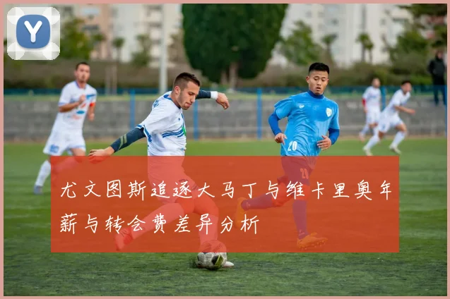 尤文图斯追逐大马丁与维卡里奥年薪与转会费差异分析